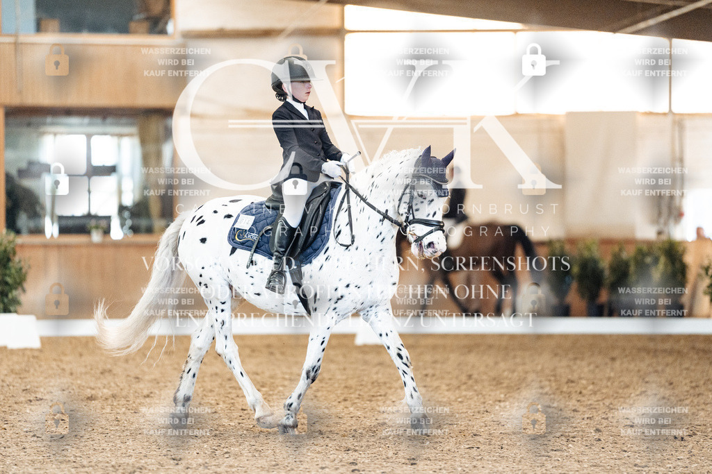 CK908901 | Turnierfotografie Pferdefotografie Trier Rheinland-Pfalz Pferdesport Reitsport Tierfotografie Sportfotografie Pferdevideo Pferdevideografie Equestrianvideography equestrianphotography  - Realisiert mit Pictrs.com