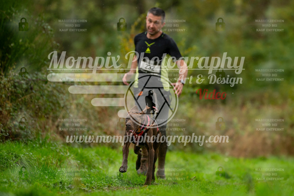 TSB_2023_E6_Canicross-1 | PayLife