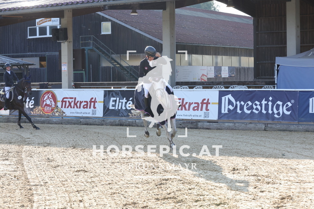 0P6A8368 | Willkommen bei Brunnmayr - Design & Fotografie – Ihrem Spezialisten für Reitturniere und Pferdeveranstaltungen in Oberösterreich, Salzburg und Bayern! Seit über 17 Jahren sind wir leidenschaftlich dabei.