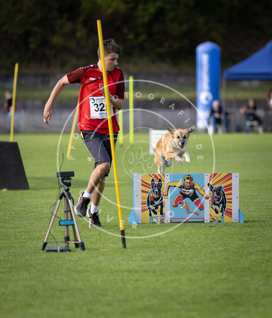 Pfotenfotografie_DV3A2700 | Hundefotografie, Tierfotograf, Pfotenfotografie, Fotoshooting Hund, Hunde Portrait, Hundesport, Hundeportraits, Heideshooting, Hunde, Sportfotograf, Hundefotograf, Turnierhundsport, THS,  - Realisiert mit Pictrs.com