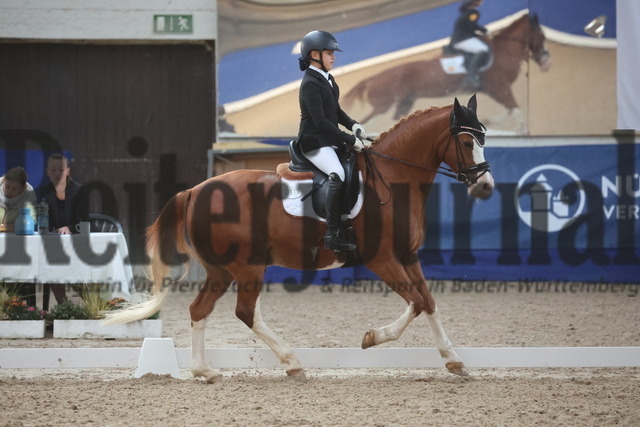 Pforzheim_2024_Finale_LJC_Prfg.Nr.04_Pony-Dressurreiterprfg_U14_Charlotte Ehrhardt_Zöthens Naseweiss (7) | Alle Fotos der Reiterjournal Fotografin Doris Matthaes im Reiterjournal Online-Fotoshop. - Realizado com Pictrs.com