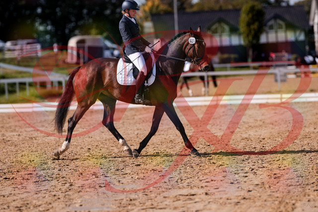 2026_10_03_Siefer-Hof_125751_Z81_46866827 | Professionelle Reitsport-, Turnier- und Eventfotografie von Robert Broda. Galerien mit ausgewählten und bearbeiteten Bildern direkt online ansehen und bestellen.