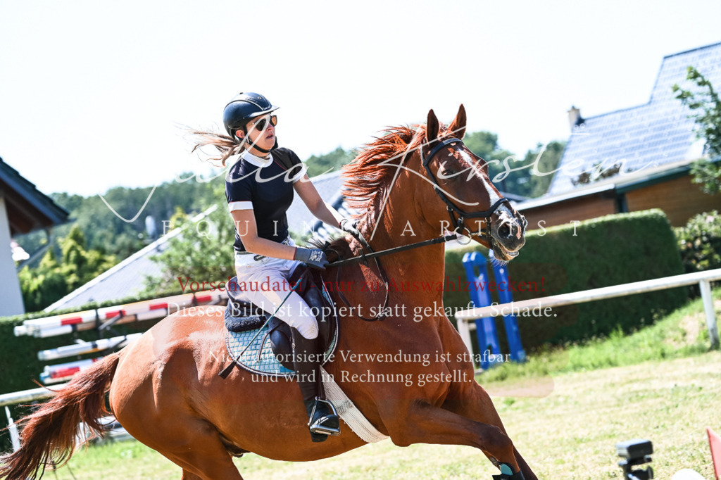 DSC_0481 | Pferde- und Turnierfotografie in Westsachsen. Pferdeportraits, Auftragszeichnungen und intuitive Kunst.