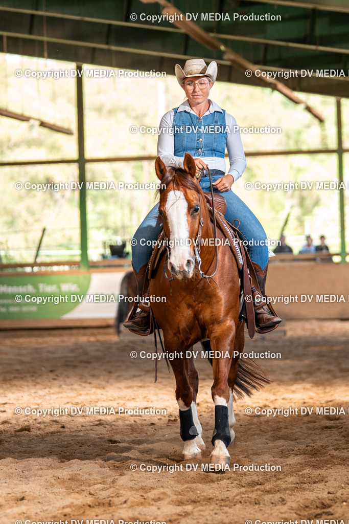 Balingen Tag 3-1335 | dv-media-shop - Realisiert mit Pictrs.com