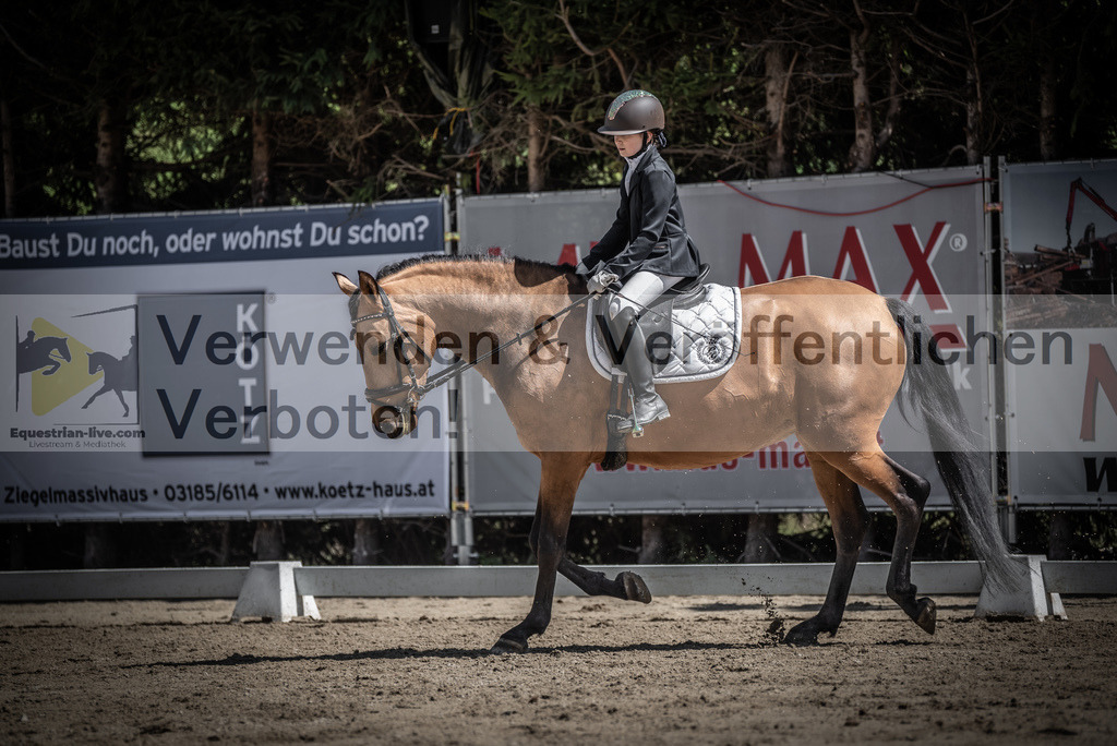 DSC_0908 | equestrian-live-com