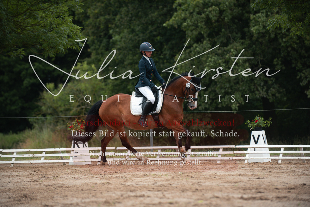 DSC_9833 | Pferde- und Turnierfotografie in Westsachsen. Pferdeportraits, Auftragszeichnungen und intuitive Kunst.