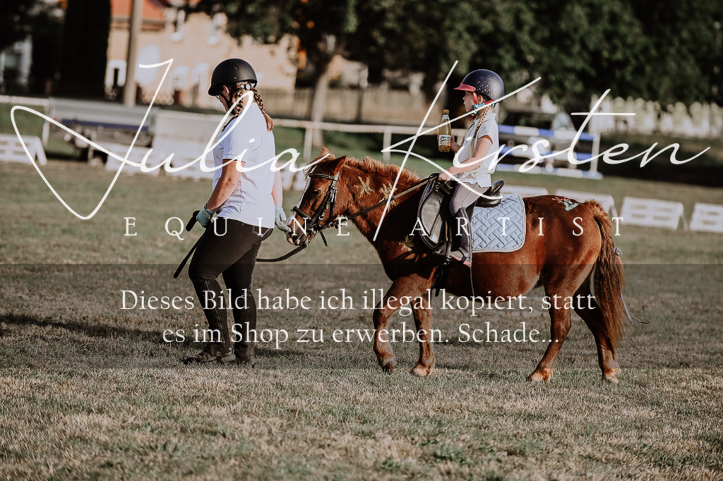 DSC_0151 | Pferde- und Turnierfotografie in Westsachsen. Pferdeportraits, Auftragszeichnungen und intuitive Kunst.