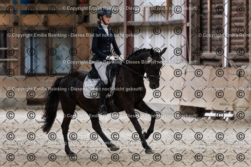 CL5A5139 | Emilia Reinking Fotografie - Realisiert mit Pictrs.com