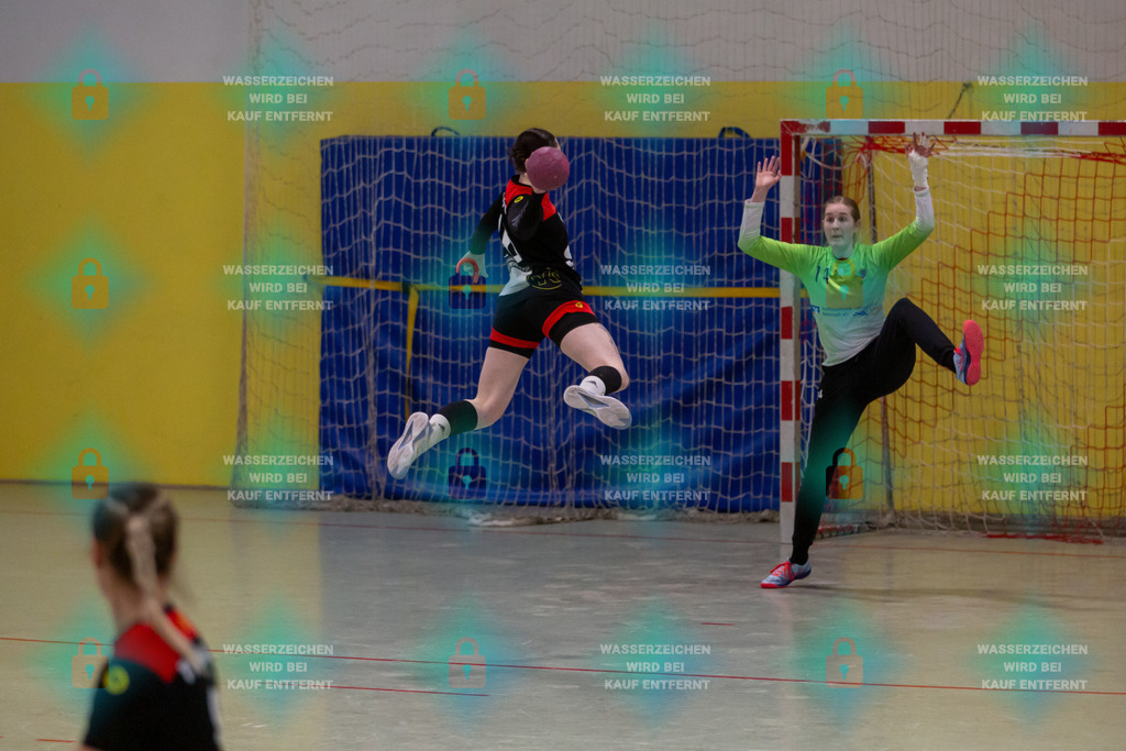 _HP_5050_3000o | TV Welling Damen gegen SF Neustadt/Wied 10.03.2024