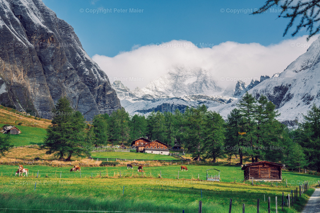 Kals_Herbst-167 | piet_flosse