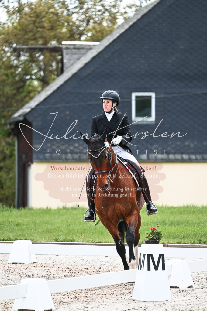 20230514_JK-Röhrsdorf-20-149 | Pferde- und Turnierfotografie in Westsachsen. Pferdeportraits, Auftragszeichnungen und intuitive Kunst.