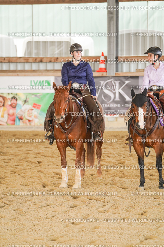 DSC08982 | Pferdegrafie