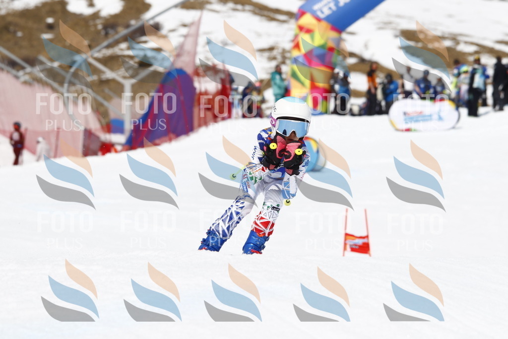 _U3G8140 | holidayphoto