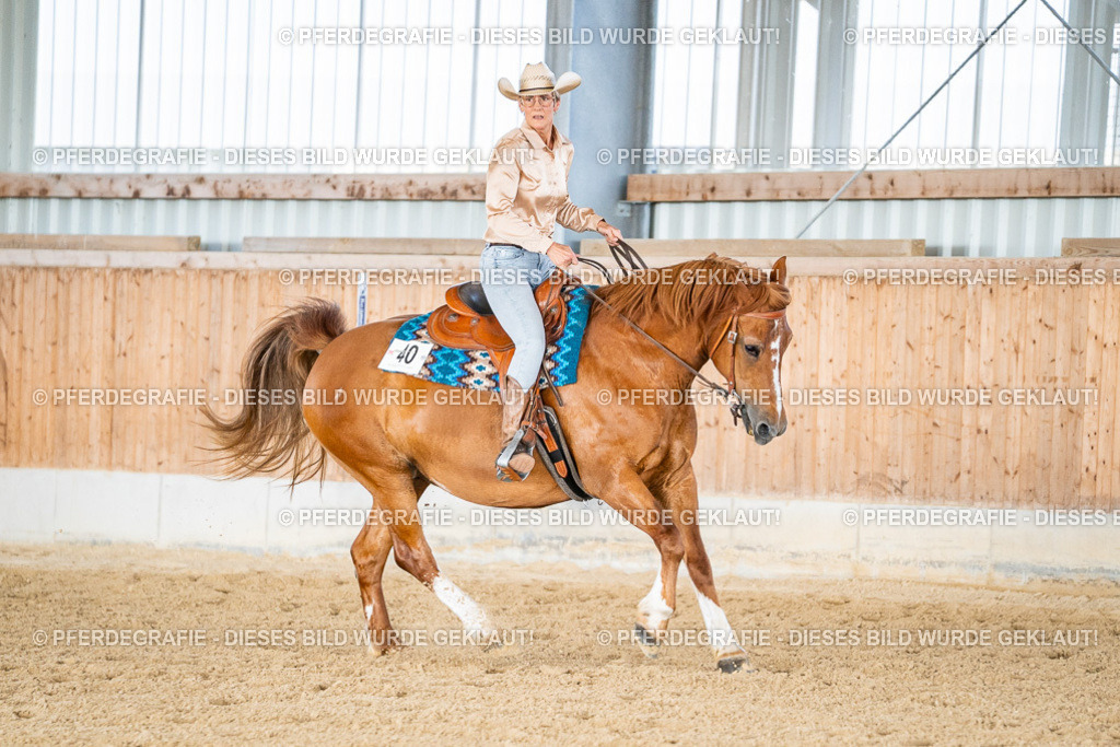 DSC09193 | Pferdegrafie