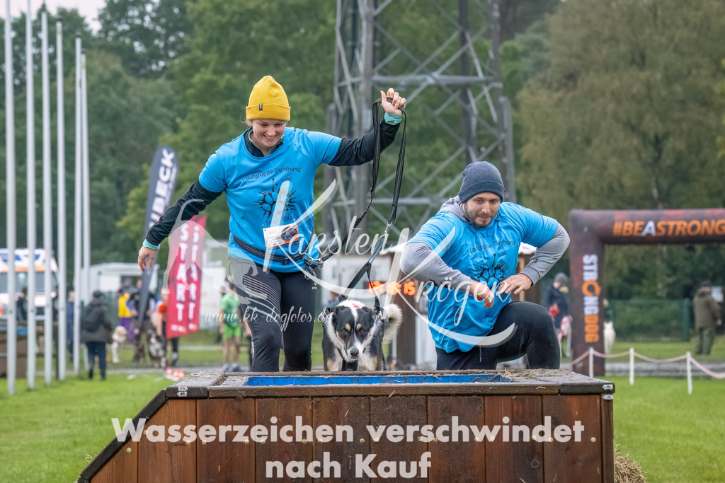 1219--4 | kk-dogfotos