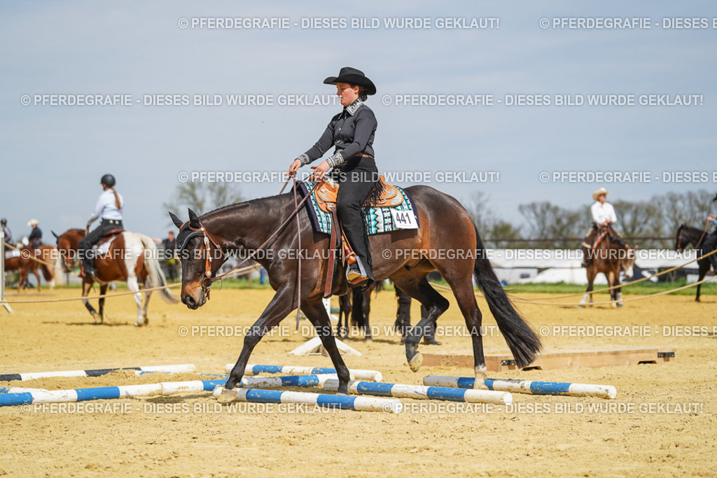 DSC05341 | Pferdegrafie