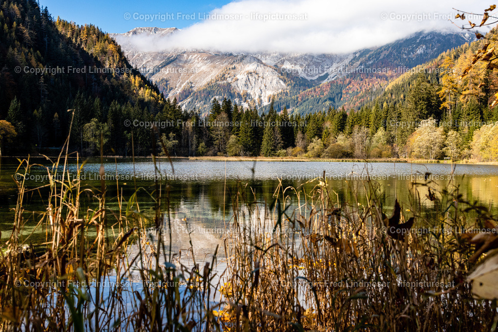 Seewiesen Duerrsee Hochschwab Herbst 24102021-0517 | Fotos und Fotoprodukte - Realisiert mit Pictrs.com