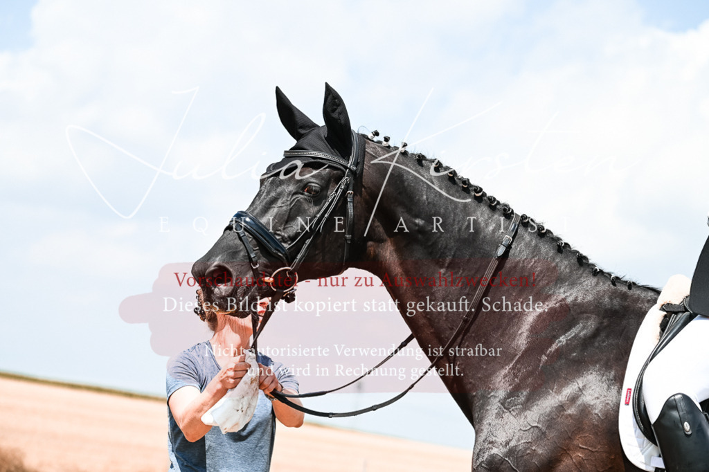 DSC_2741 | Pferde- und Turnierfotografie in Westsachsen. Pferdeportraits, Auftragszeichnungen und intuitive Kunst.