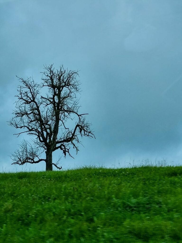 PSX_20220918_224043 | mtkfoto_ - Realisiert mit Pictrs.com