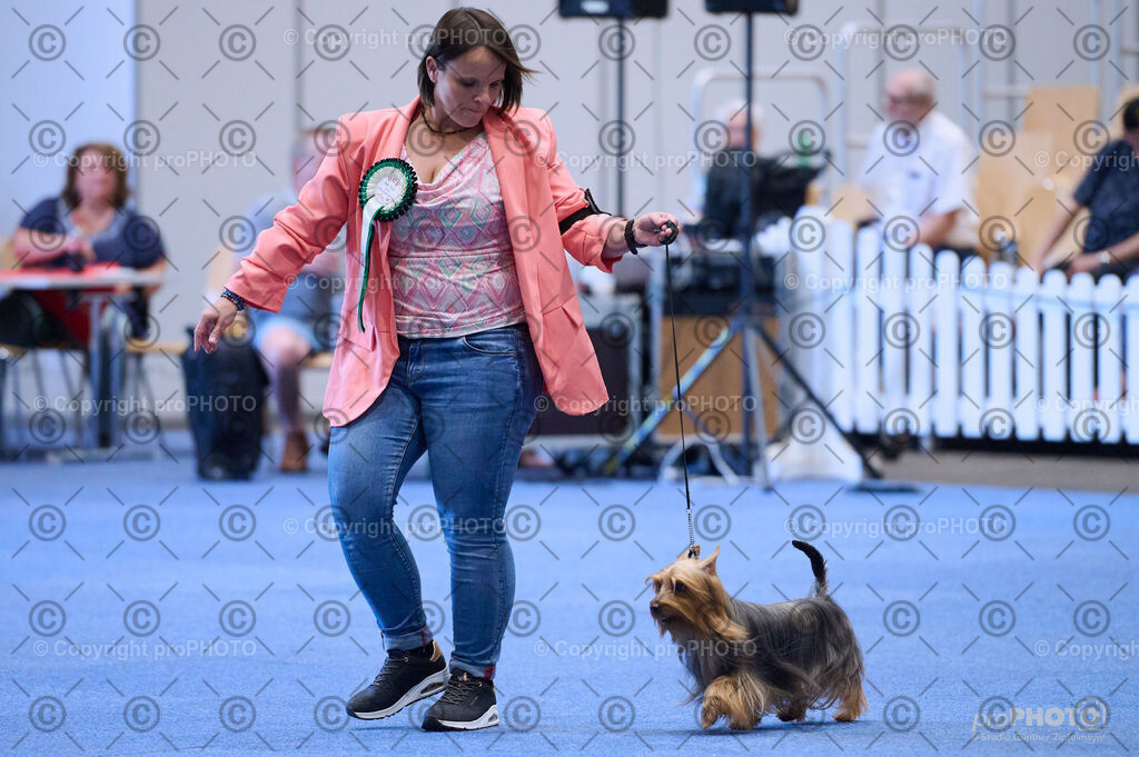 202406_ÖKV-IHA-Tulln24_DSC_3861 | proPHOTO - Realisiert mit Pictrs.com