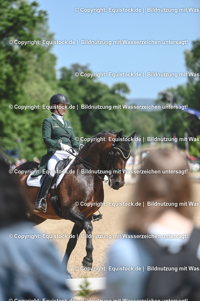 D78_2903 | equistock