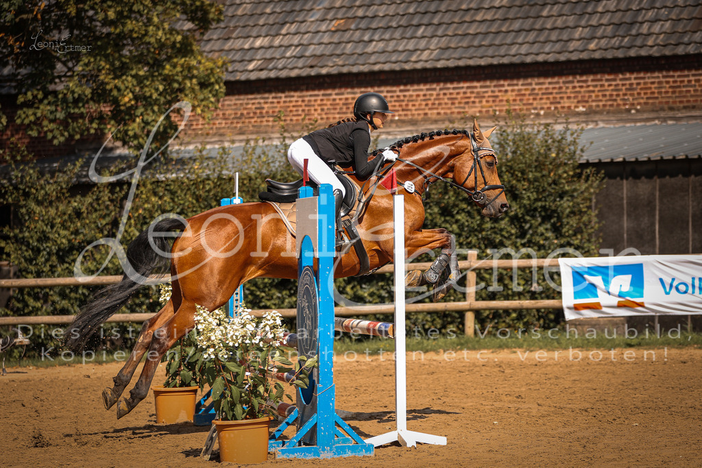 05.SaSpE00104 | Leoni Ertmer Photography - Realisiert mit Pictrs.com