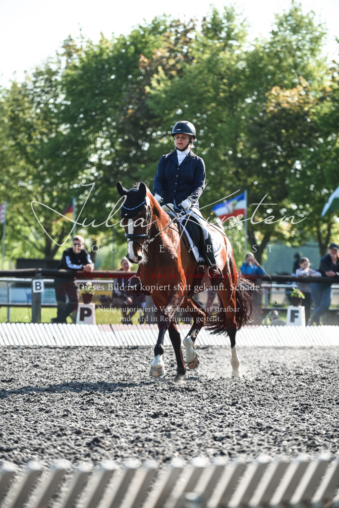 DSC_8526 | Pferde- und Turnierfotografie in Westsachsen. Pferdeportraits, Auftragszeichnungen und intuitive Kunst.
