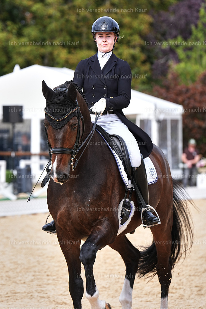 11-091-Dressur S___-Marixx-1622 | working equitationturnier fotograf videograf stoibphotography marixx film working equitation deutschland reitsport turnierfotografie eventfotografie equestrian events