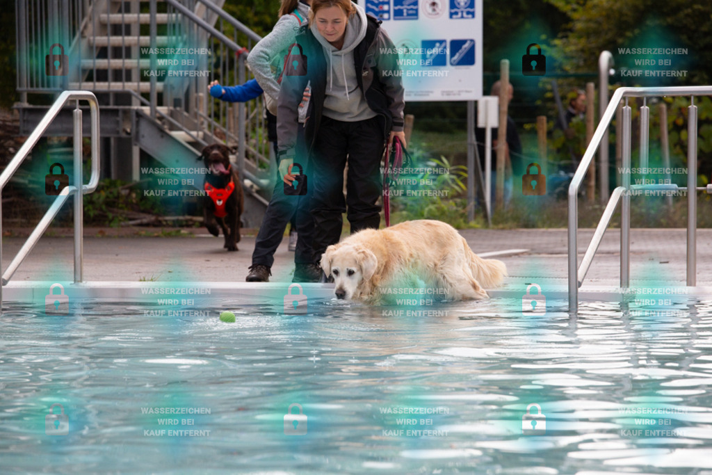 _HP_7544_1000o | HetPix, HetPix Fotodesign, Fotografie, Fotodesign, Webshop, Sportfotografie, Portraitfotografie, Onlineshop, Sportfotografie, Polch, Motorsportfotografie, Eventfotografie