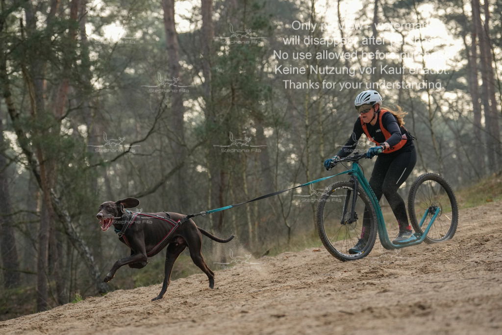 Scooter1-98 | stephaniefillaphotographie - Realisiert mit Pictrs.com