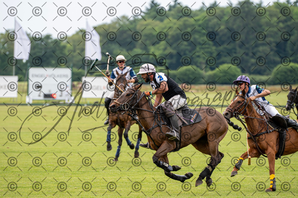 POL_3802 | andre_photographic