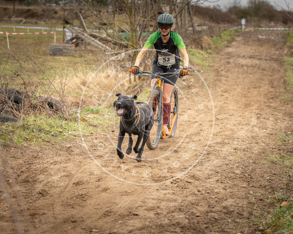 DV3A1429 | Hundefotografie, Tierfotograf, Pfotenfotografie, Fotoshooting Hund, Hunde Portrait, Hundesport, Hundeportraits, Heideshooting, Hunde, Sportfotograf, Hundefotograf, Turnierhundsport, THS,  - Realisiert mit Pictrs.com