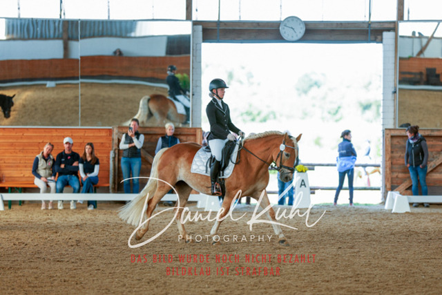 _62_7933 | Turniersportfotografie; Pferdefotografie; Dressurfotografie