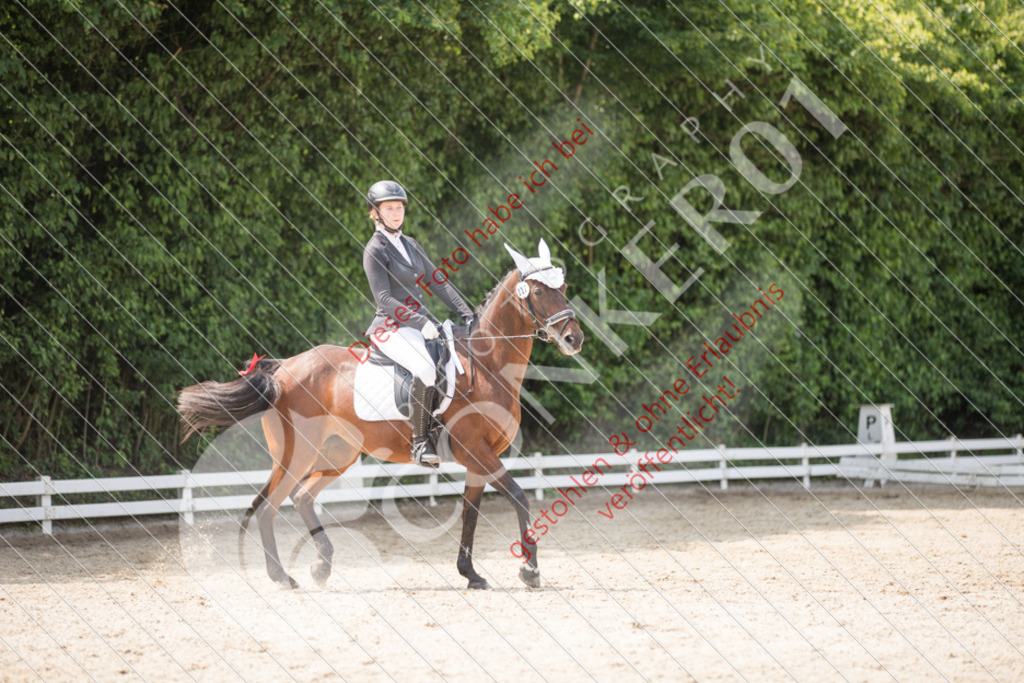 IMG_3611 | Sport-, Event- und Tierfotos in Profiqualität. Einfach auswählen, bestellen und herunterladen. Dein Moment – perfekt festgehalten.