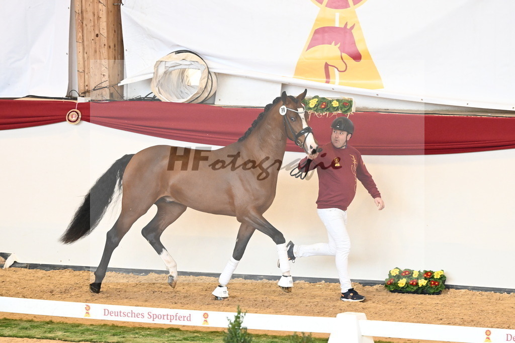 Kat.-Nr. 79 v. Valverde_Gaab_2240998 | hf-fotografie - Realisiert mit Pictrs.com