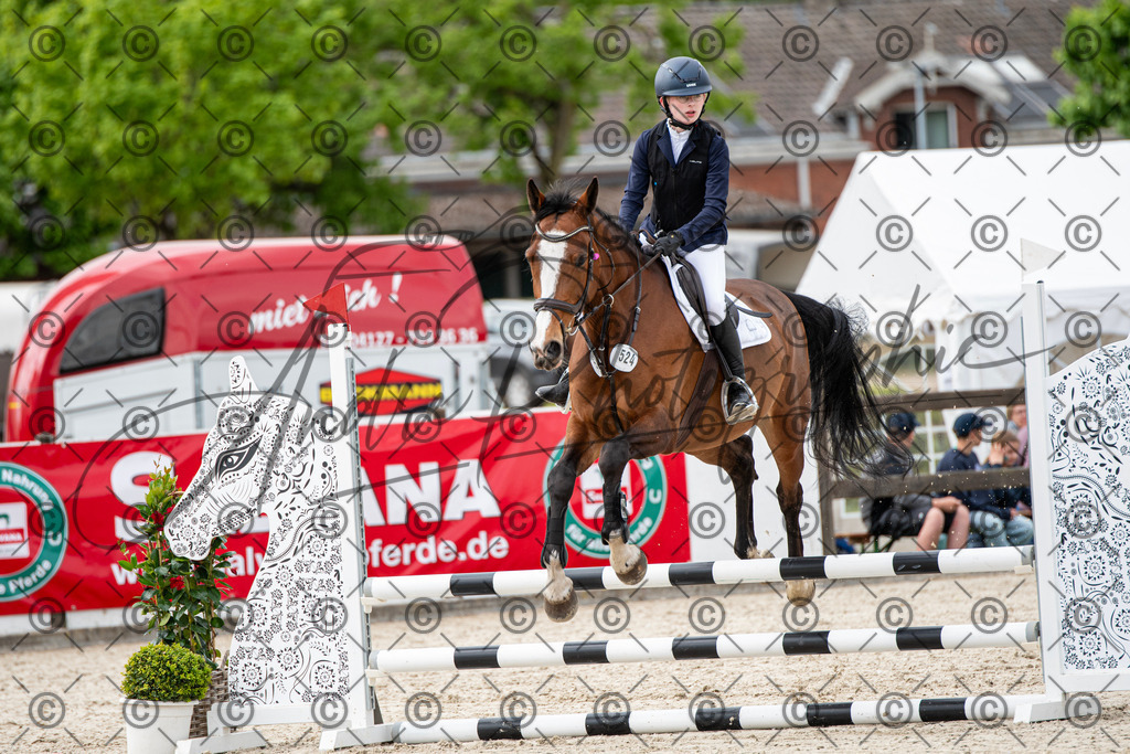 KPT_6503 | andre_photographic