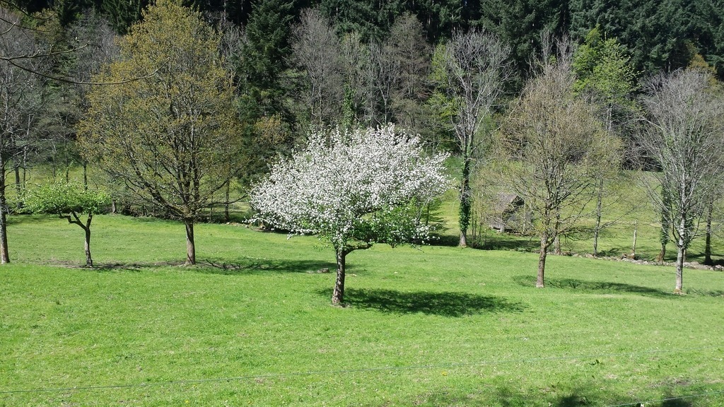 20170430_142626 | klausulrichmoeller - Realisiert mit Pictrs.com