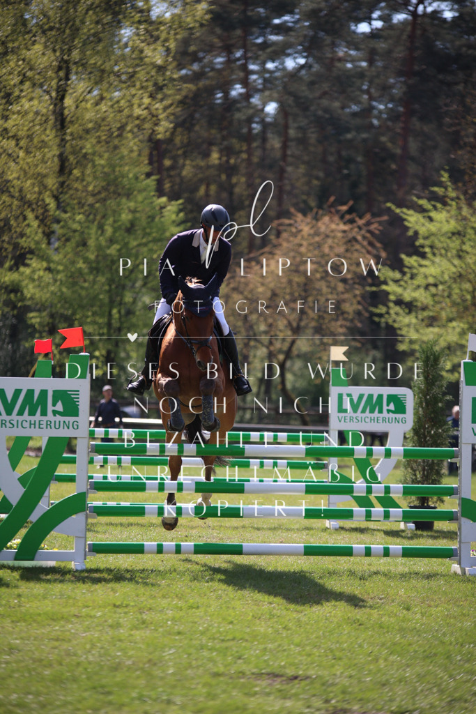 IMGT5950 | pl-fotografie