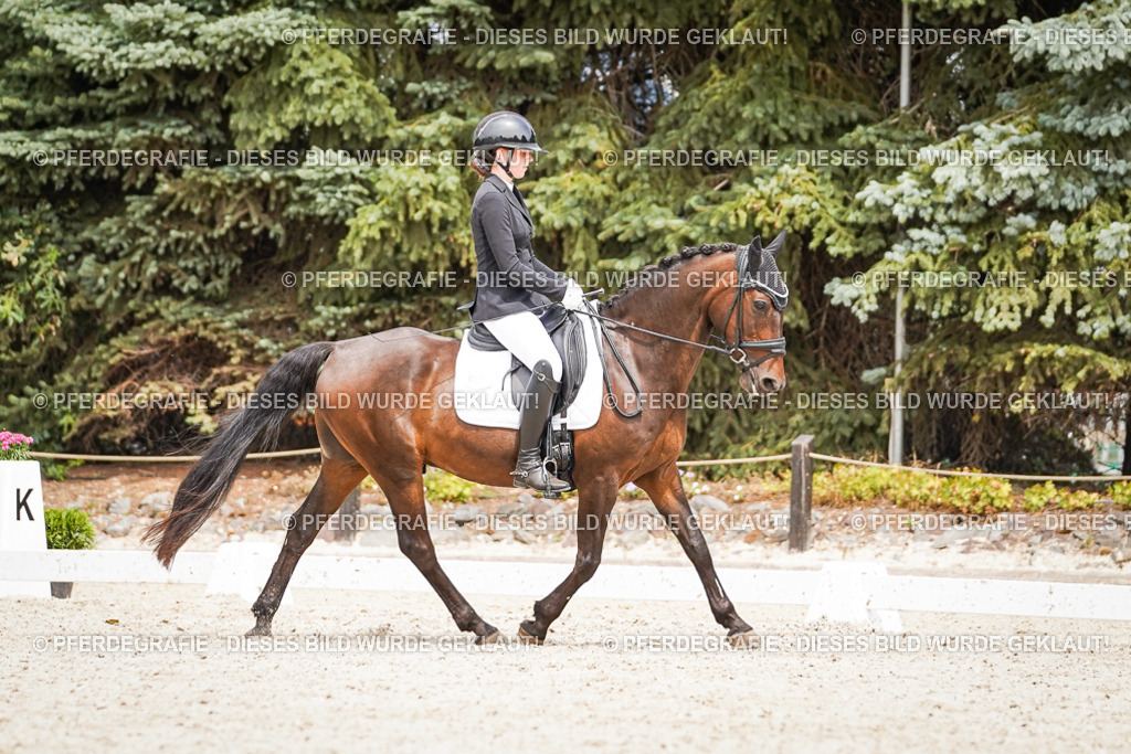 DSC04103 | Pferdegrafie