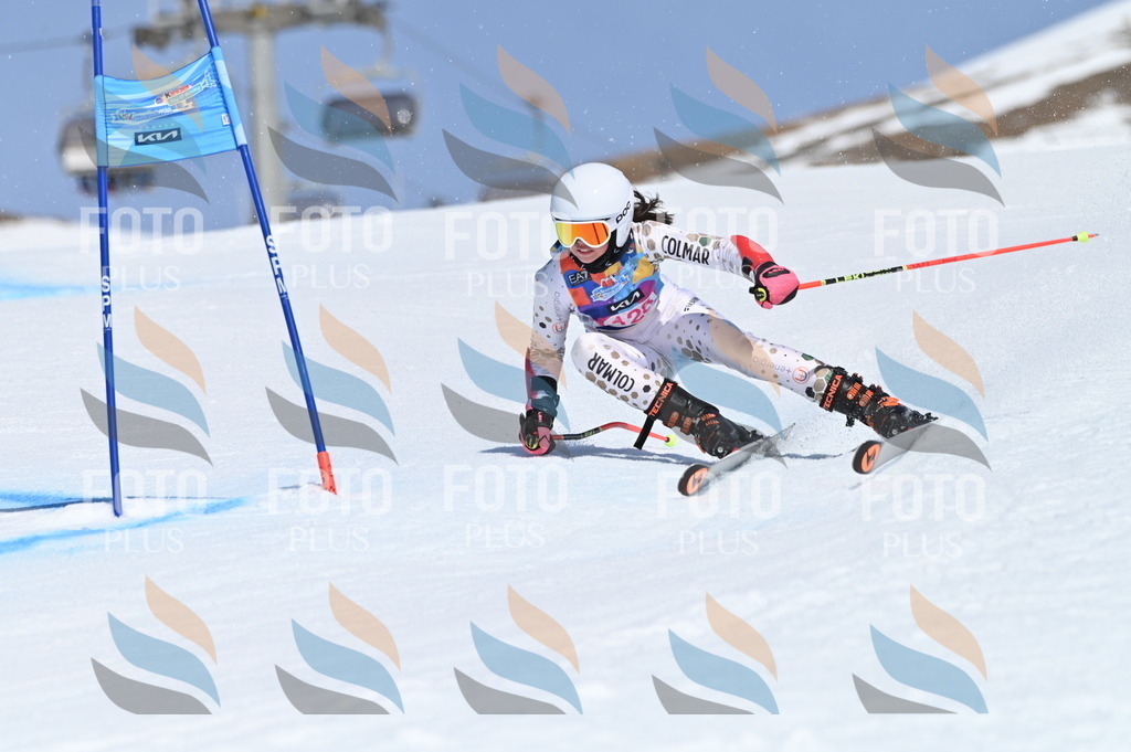 BGV_9951 | holidayphoto