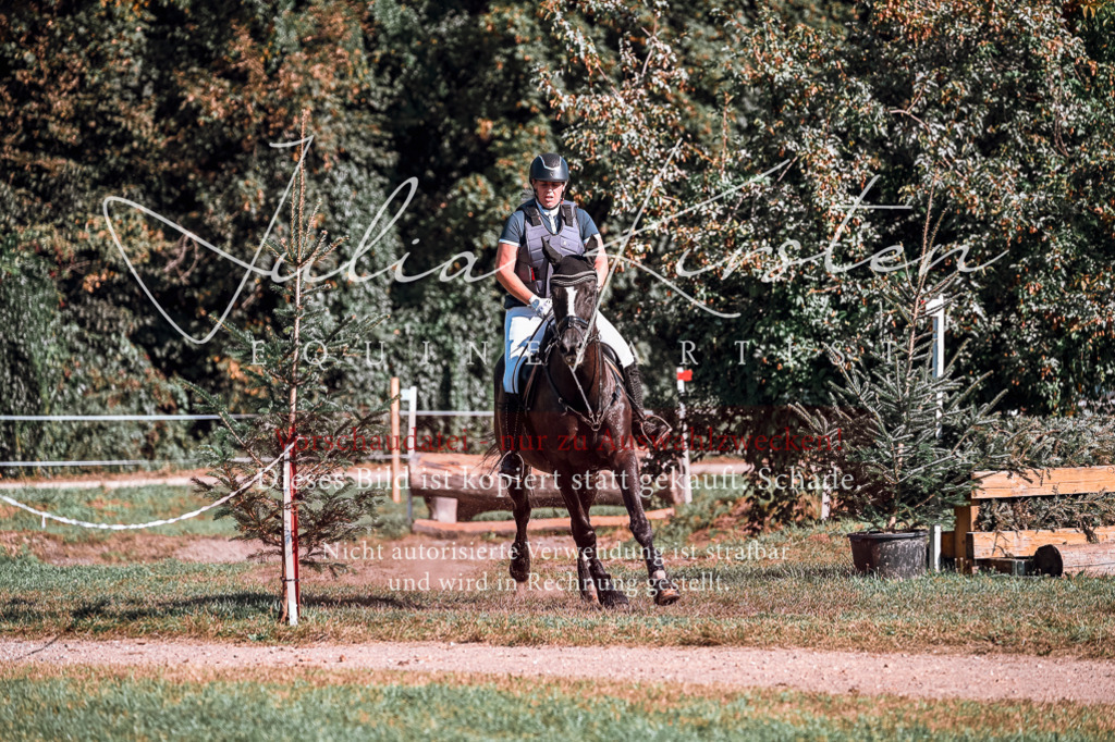 DSC_0598 | Pferde- und Turnierfotografie in Westsachsen. Pferdeportraits, Auftragszeichnungen und intuitive Kunst.