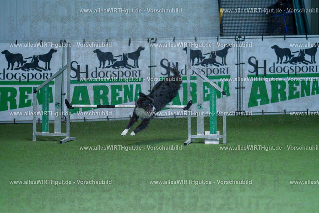 @allesWIRTHgut_Tierfotografie - www.allesWIRTHgut.de - 2604251247-7R502800 | Professionelle Tierfotografie in Mönchengladbach von Daniel Wirth (allesWIRTHgut). Liebevolle & natürliche Bilder von Hunden & Katzen für unvergessliche Erinnerungen.