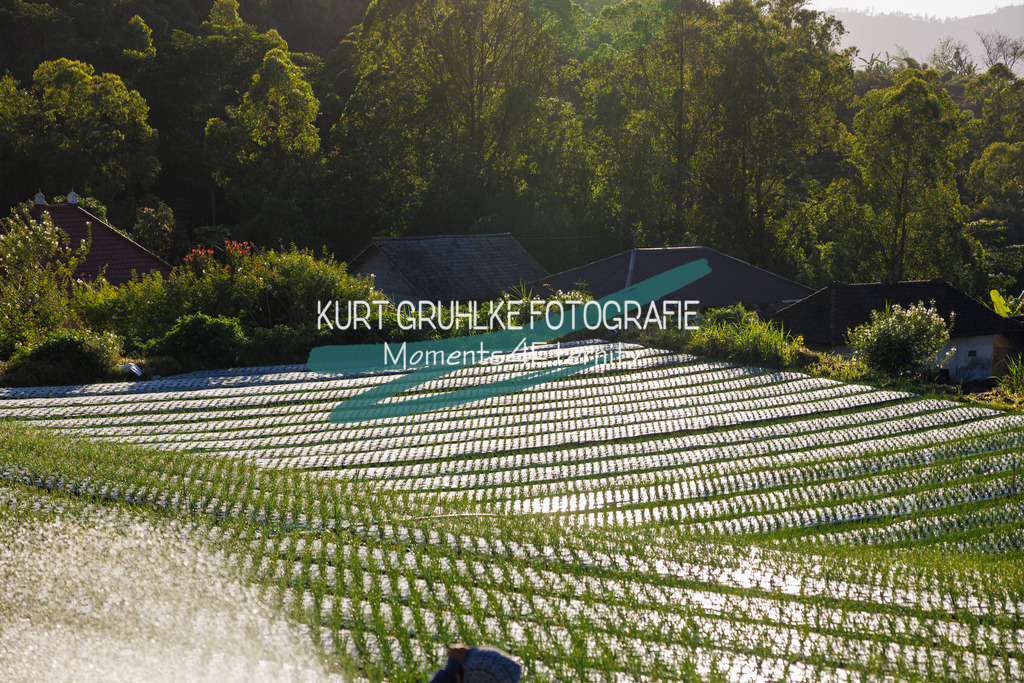 230719-0731 - Kopie | onlinegalerie und Fotoshop Kurt Gruhlke Fotograf Berlin
Hochzeitsfotograf Eventfotograf Portraitfotografie
 - Realisiert mit Pictrs.com