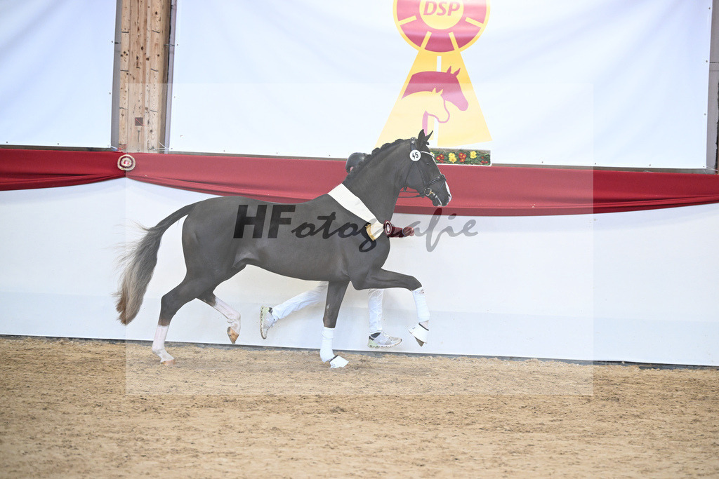 Kat.-Nr. 45 v. Bonds_Schafhof_2251845 | hf-fotografie - Realisiert mit Pictrs.com
