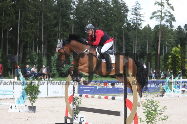 Waldachtal-Salzstetten_2024_Prfg.Nr.16_Amateur-Springreiter-Club_Philipp Hassenbürger_Chloey (4) | Alle Fotos der Reiterjournal Fotografin Doris Matthaes im Reiterjournal Online-Fotoshop. - Realisiert mit Pictrs.com