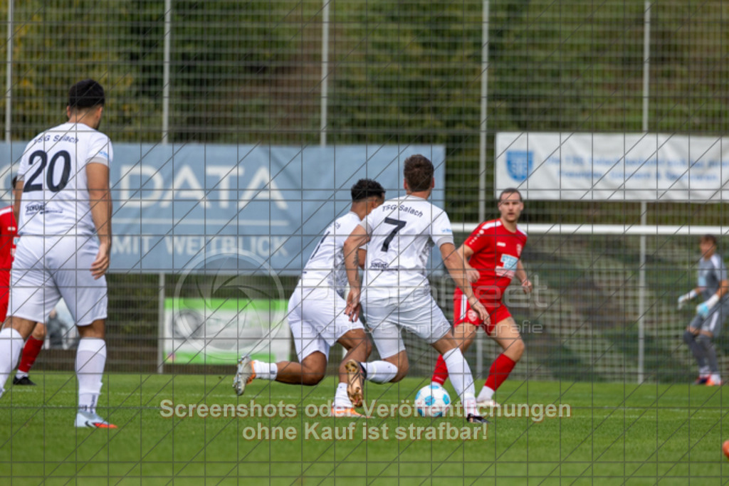 20250831_151321_0298 | #,TSG Salach (weiß) vs. SV Ebersbach (rot), Fußball, Bezirksliga - Bezirk Neckar/Fils, 02. Spieltag, Saison 2025/2026, Rasensportplatz, Staufenecker Straße, 73084 Salach, 31.08.2025 - 15:00 Uhr,Foto: PhotoPeet-Sportfotografie/Peter Harich