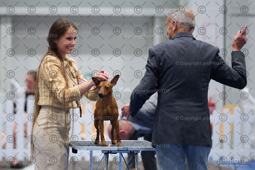 202406_ÖKV-IHA-Tulln24_DSC_3371 | proPHOTO - Realisiert mit Pictrs.com