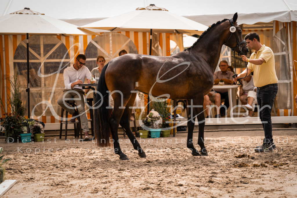 5.Fr00070 | Leoni Ertmer Photography - Realisiert mit Pictrs.com