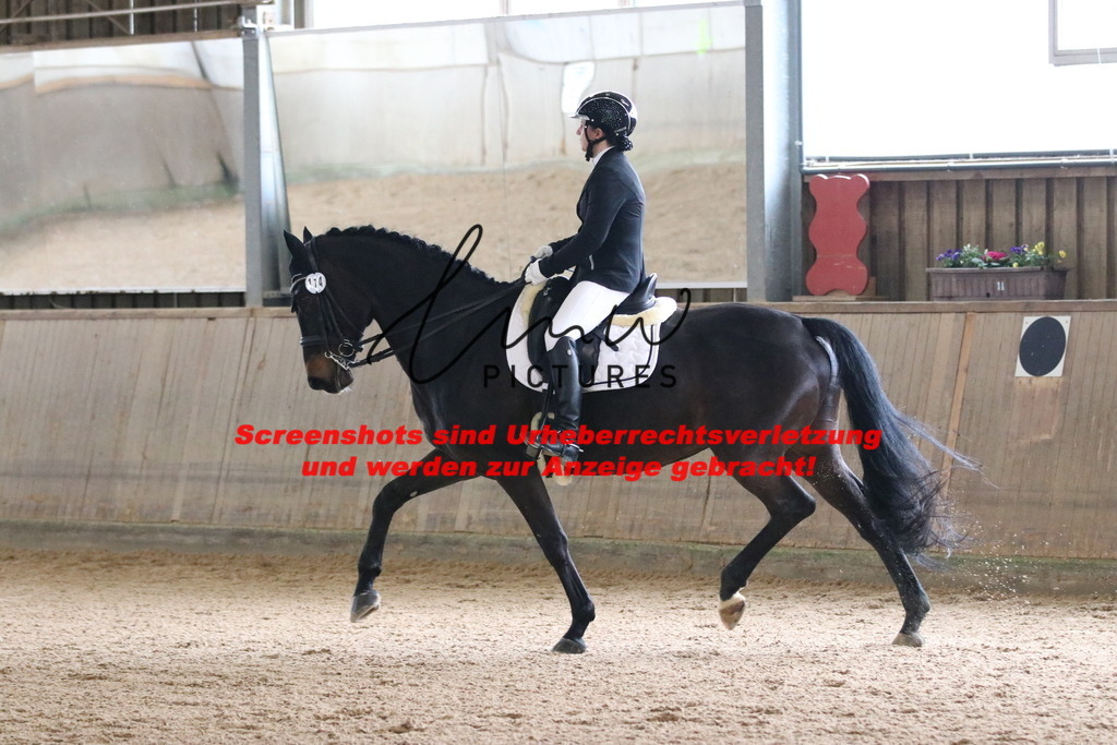 IMG_9780 | lmwpictures - Realisiert mit Pictrs.com