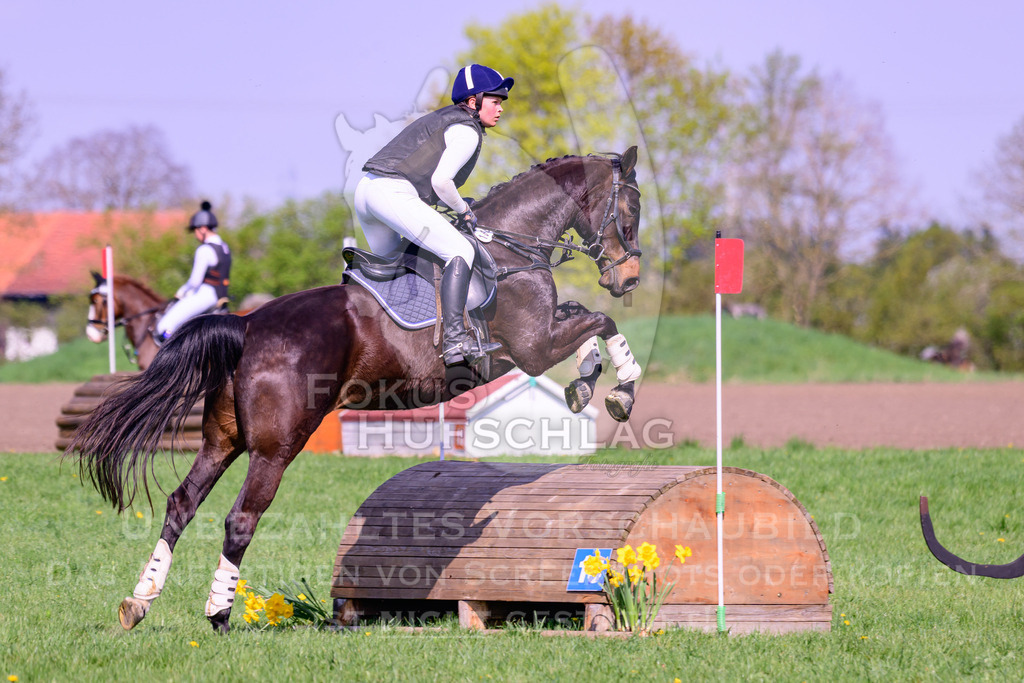 18042026-Gernlinden-04-1-0057 | Fokus Hufschlag Fotografie - Realisiert mit Pictrs.com